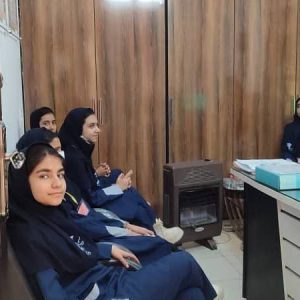 جلسات متعدد با سفیران سلامت